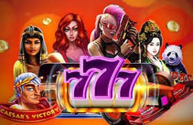 25winvn